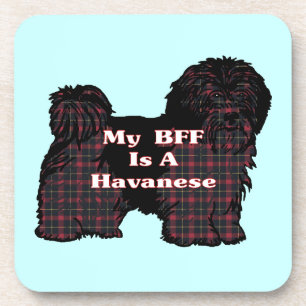 HAVANESE BESTE FREUNDIN UNTERSETZER