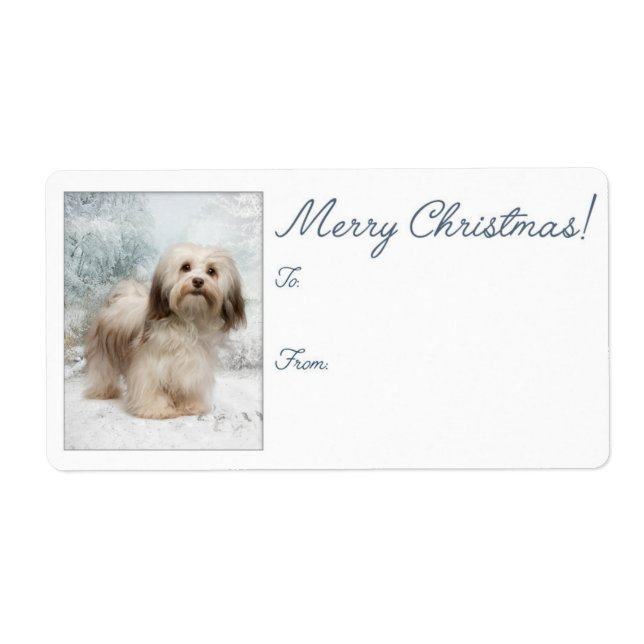 Havanese Christmas Gift Labels (Vorne)