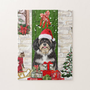 Havanese Dog Christmas