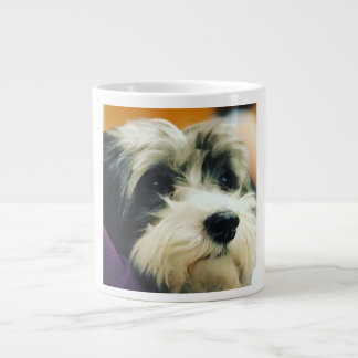Havanese Dog Coffee Tasse