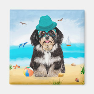 Havanese Dog on Beach Magnet