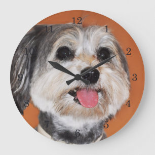 Havanese Dog Portrait Große Wanduhr