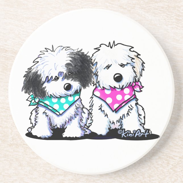 Havanese Duo Untersetzer (Vorne)