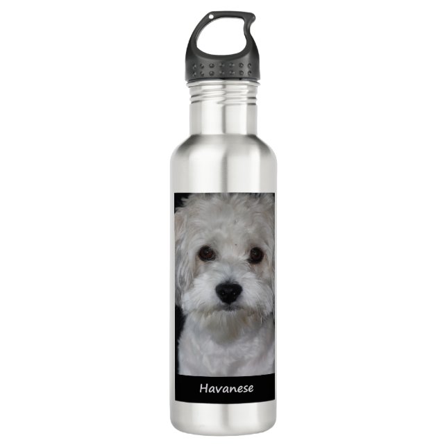 Havanese Edelstahlflasche (Vorderseite)