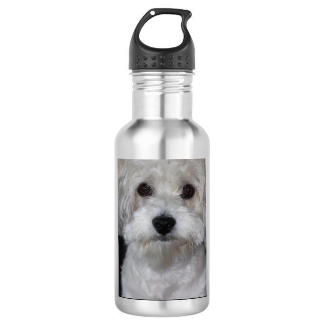 Havanese Edelstahlflasche (Vorderseite)