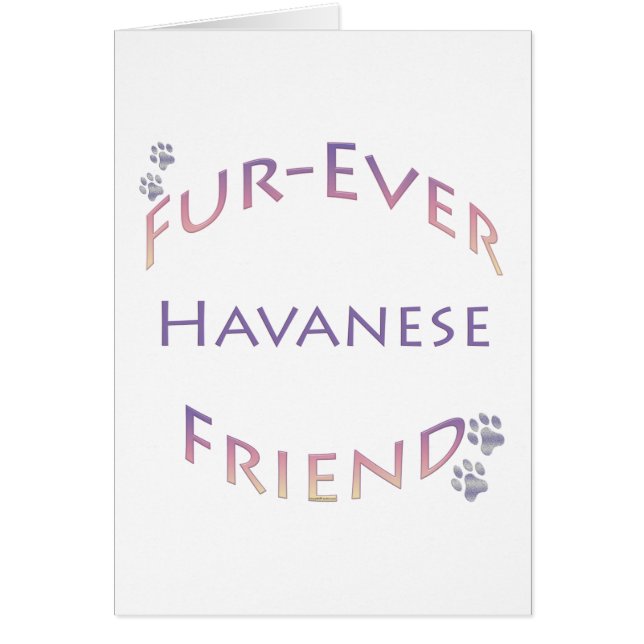 Havanese Furever (Vorne)