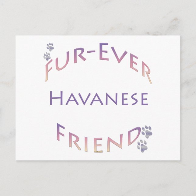 Havanese Furever Postkarte (Vorderseite)