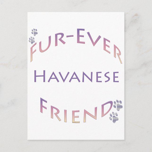 Havanese Furever Postkarte (Vorderseite)
