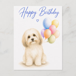 Havanese Geburtstag Postkarte