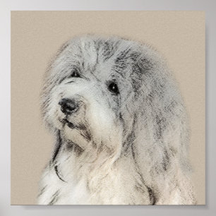 Havanese (Gold Sable) Malerei - Original Hunde Kun Poster