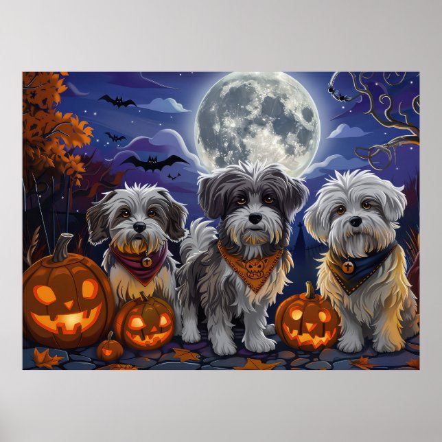 Havanese Halloween Spooky Poster (Vorne)
