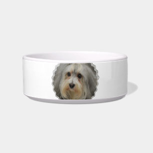 Havanese Haustier-Schüssel Napf
