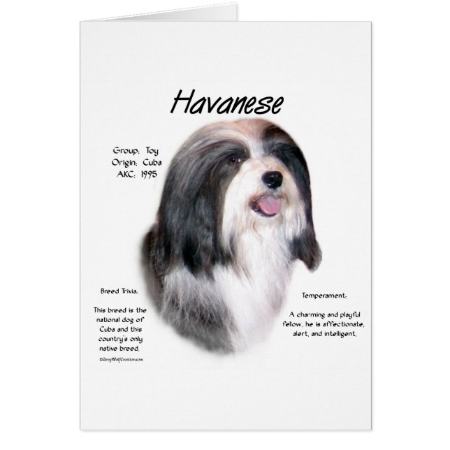 Havanese History Design (Vorne)