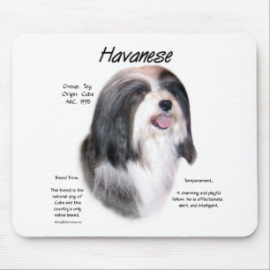 Havanese History Design Mousepad