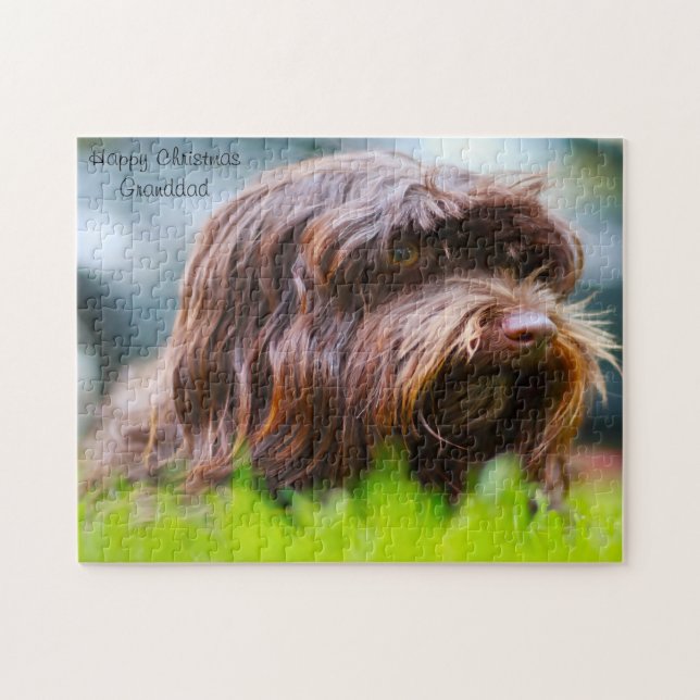 Havanese Hund. (Horizontal)