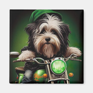 Havanese Hund fährt Fahrrad am St. Patrick's Day Magnet