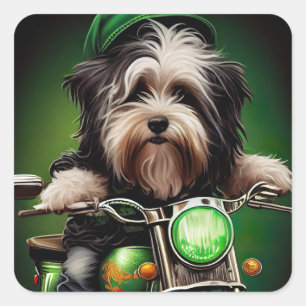 Havanese Hund fährt Fahrrad am St. Patrick's Day Quadratischer Aufkleber