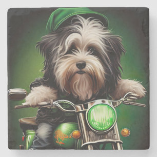 Havanese Hund fährt Fahrrad am St. Patrick's Day Steinuntersetzer