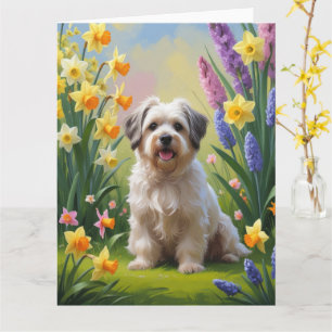 Havanese-Hund-Frühlingsblumen-Malerei Karte