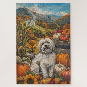 Havanese Hund Herbsternte Erntedankfest