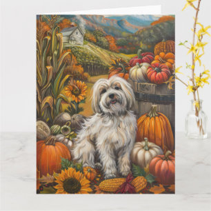 Havanese Hund Herbsternte Erntedankfest Karte
