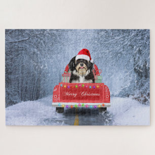 Havanese Hund im Schnee sitzend im Weihnachts-LKW