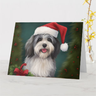 Havanese Hund im Schnee Weihnachten Karte