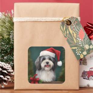 Havanese Hund im Schnee Weihnachten Quadratischer Aufkleber