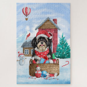 Havanese Hund im Schnee Weihnachtshaus
