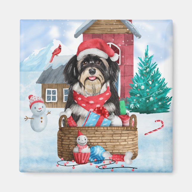 Havanese Hund im Schnee Weihnachtshaus Magnet (Vorne)
