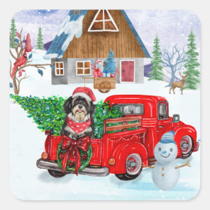 Havanese-Hund im Weihnachtslieferwagen Schnee Quadratischer Aufkleber