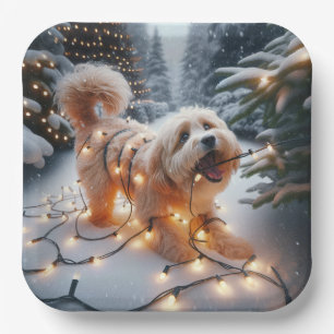 Havanese Hund in verworrenen Weihnachtsleuchten Pappteller
