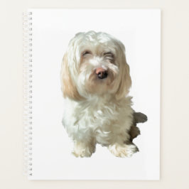 Havanese Hund Planer