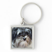 Havanese Hundeerstklassiger quadratischer