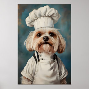 Havanese in Kochmütze Poster, Haustierposter, Hava Poster
