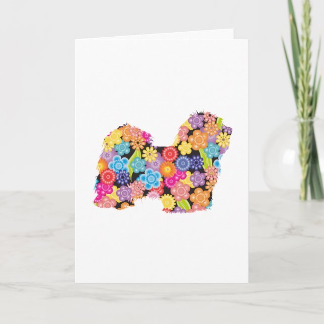 Havanese Karte (Vorderseite)