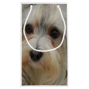 Havanese Kleine Geschenktüte