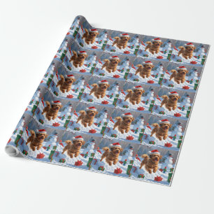 Havanese läuft im Schnee mit Weihnachtsmütze Geschenkpapier