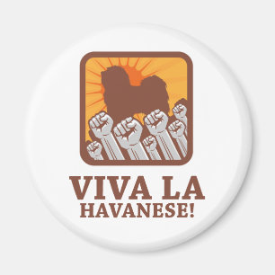 Havanese Magnet