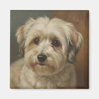Havanese Magnet
