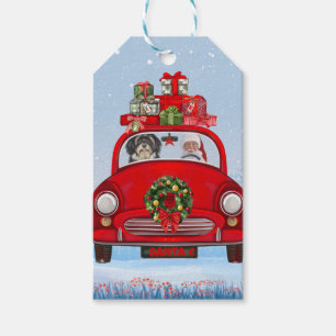 Havanese mit dem Weihnachtsmann im Auto Geschenkanhänger
