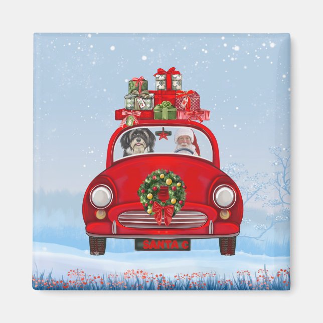 Havanese mit dem Weihnachtsmann im Auto Magnet (Vorne)