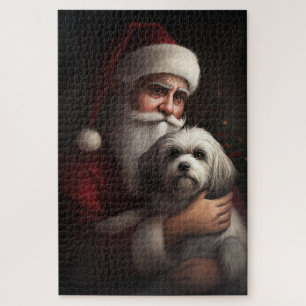 Havanese mit Weihnachtsmann Weihnachten