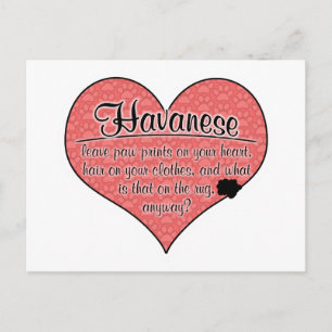 Havanese Paw Prints Hunde Humor Postkarte