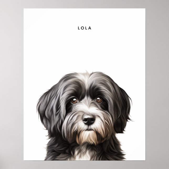 Havanese Personalisiert Print Poster (Vorne)
