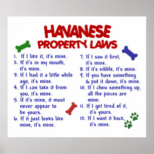 HAVANESE PL2 POSTER