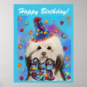 HAVANESE POSTER