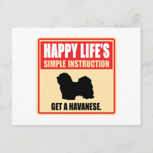Havanese Postkarte