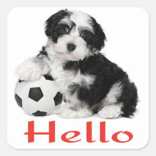 Havanese Puppy Dog Hello Stickers Siegel