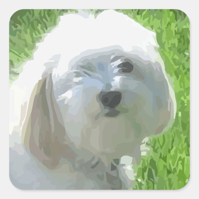 Havanese Quadratischer Aufkleber (Vorderseite)